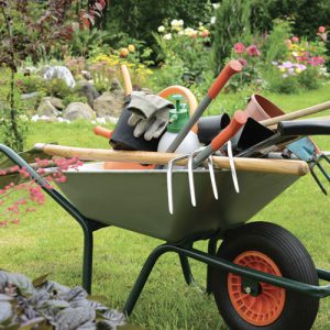Lewatt jardinage